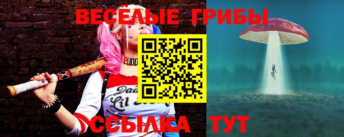 Галлюциногенные грибы прущие грибы Гурьевск