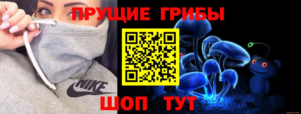 Галлюциногенные грибы Psilocybe  Вход с VPN  Гурьевск  Псилоцибиновые грибы Cubensis 