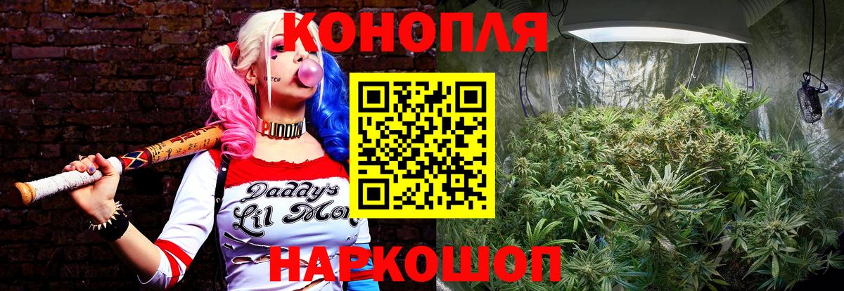 Шишки марихуана семена Гурьевск